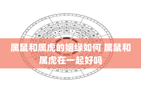 属鼠和属虎的姻缘如何 属鼠和属虎在一起好吗