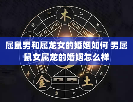 属鼠男和属龙女的婚姻如何 男属鼠女属龙的婚姻怎么样