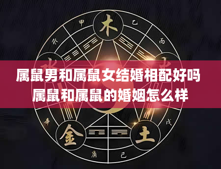 属鼠男和属鼠女结婚相配好吗 属鼠和属鼠的婚姻怎么样