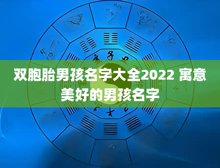 双胞胎男孩名字大全2022 寓意美好的男孩名字