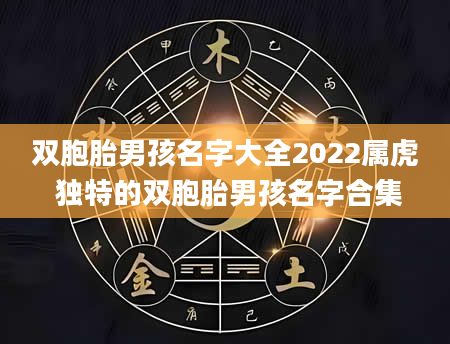 双胞胎男孩名字大全2022属虎 独特的双胞胎男孩名字合集
