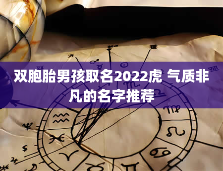 双胞胎男孩取名2022虎 气质非凡的名字推荐