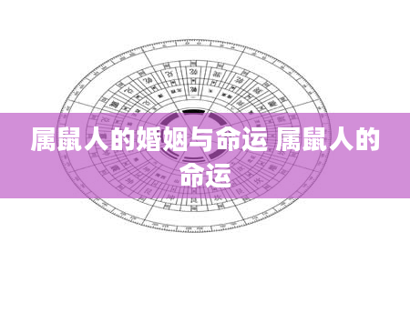 属鼠人的婚姻与命运 属鼠人的命运
