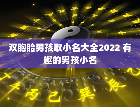 双胞胎男孩取小名大全2022 有趣的男孩小名