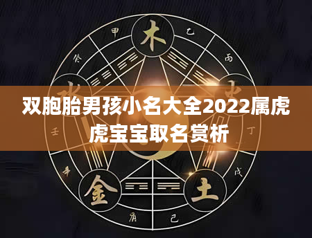 双胞胎男孩小名大全2022属虎 虎宝宝取名赏析