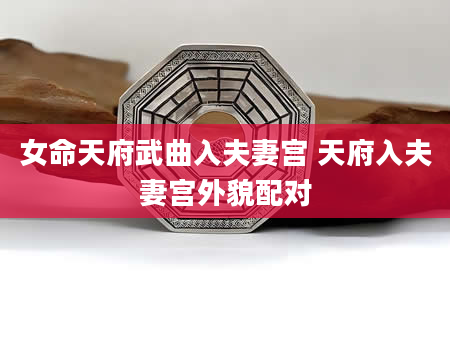 女命天府武曲入夫妻宫 天府入夫妻宫外貌配对