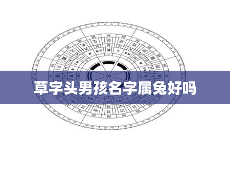草字头男孩名字属兔好吗