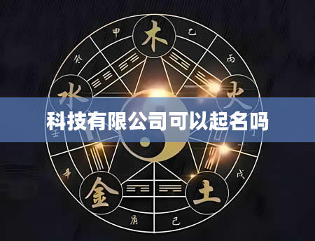 科技有限公司可以起名吗