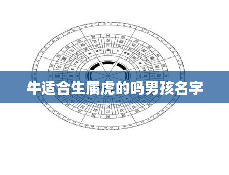 牛适合生属虎的吗男孩名字