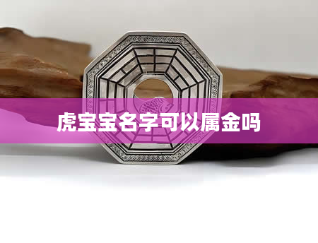 虎宝宝名字可以属金吗
