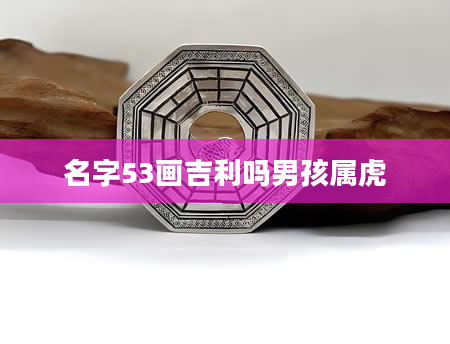 名字53画吉利吗男孩属虎