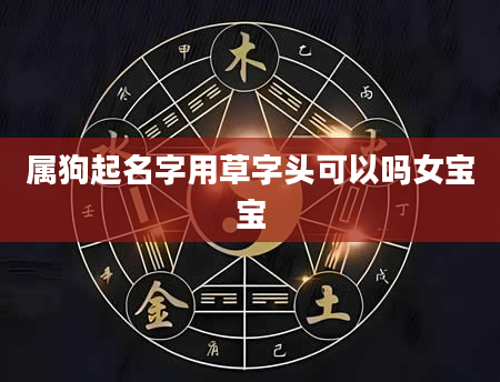 属狗起名字用草字头可以吗女宝宝