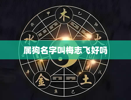 属狗名字叫梅志飞好吗