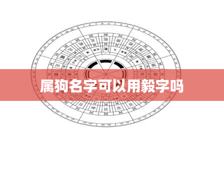 属狗名字可以用毅字吗