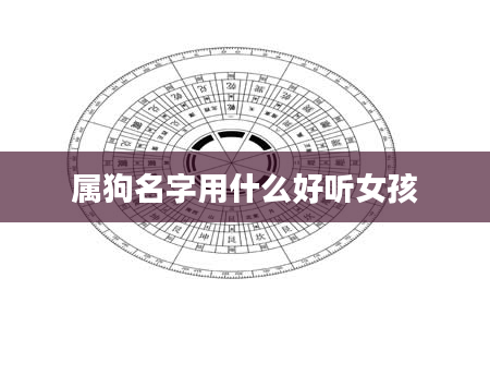 属狗名字用什么好听女孩