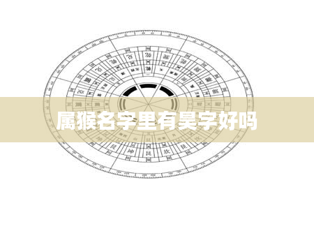 属猴名字里有昊字好吗