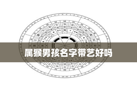属猴男孩名字带艺好吗