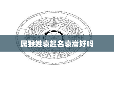 属猴姓袁起名袁嵩好吗