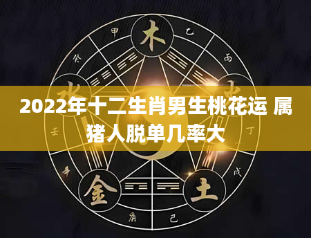 2022年十二生肖男生桃花运 属猪人脱单几率大