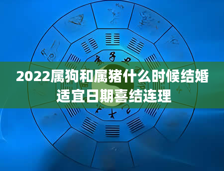 2022属狗和属猪什么时候结婚 适宜日期喜结连理