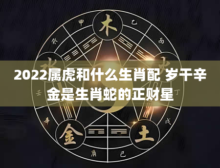 2022属虎和什么生肖配 岁干辛金是生肖蛇的正财星