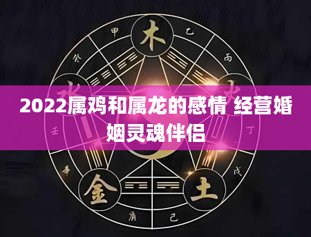 2022属鸡和属龙的感情 经营婚姻灵魂伴侣