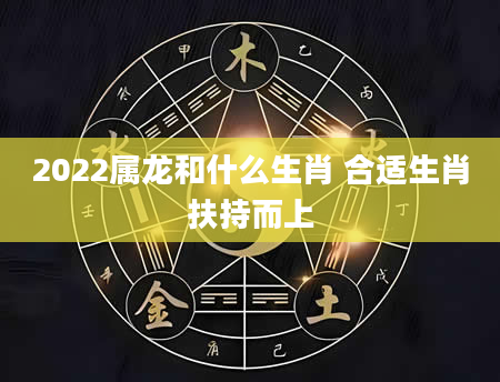 2022属龙和什么生肖 合适生肖扶持而上