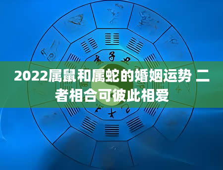 2022属鼠和属蛇的婚姻运势 二者相合可彼此相爱