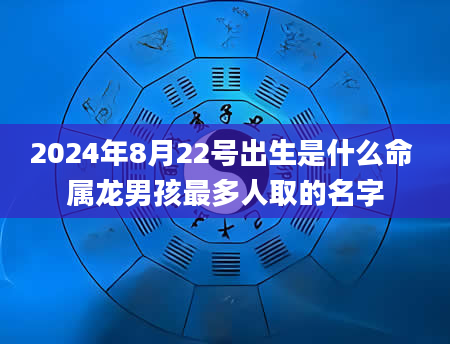 2024年8月22号出生是什么命 属龙男孩最多人取的名字