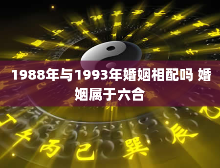 1988年与1993年婚姻相配吗 婚姻属于六合