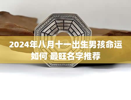 2024年八月十一出生男孩命运如何 最旺名字推荐