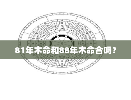 81年木命和88年木命合吗？