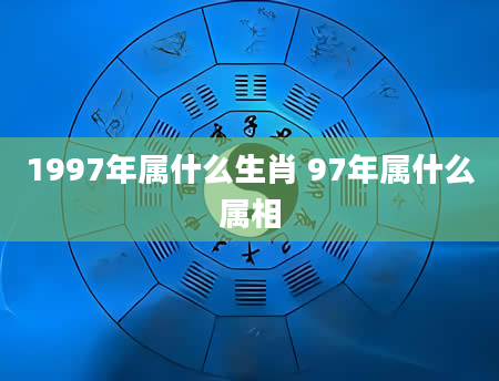 1997年属什么生肖 97年属什么属相