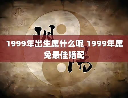 1999年出生属什么呢 1999年属兔最佳婚配