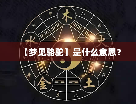 【梦见骆驼】是什么意思？