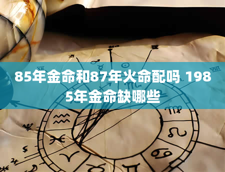 85年金命和87年火命配吗 1985年金命缺哪些