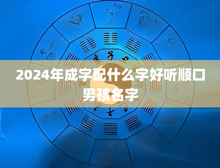 2024年成字配什么字好听顺口男孩名字