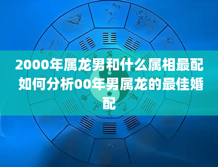 2000年属龙男和什么属相最配 如何分析00年男属龙的最佳婚配