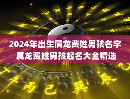 2024年出生属龙费姓男孩名字 属龙费姓男孩起名大全精选