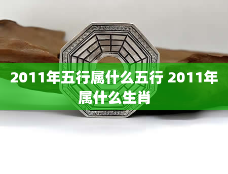 2011年五行属什么五行 2011年属什么生肖