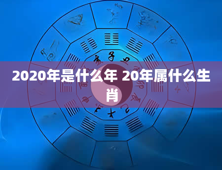 2020年是什么年 20年属什么生肖