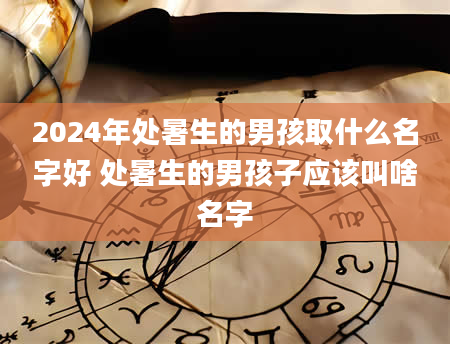 2024年处暑生的男孩取什么名字好 处暑生的男孩子应该叫啥名字