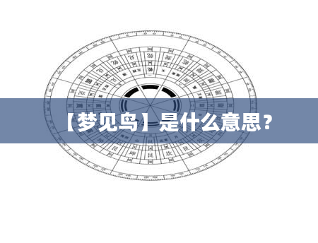 【梦见鸟】是什么意思？