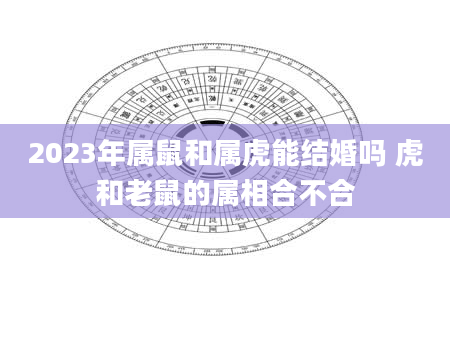 2023年属鼠和属虎能结婚吗 虎和老鼠的属相合不合