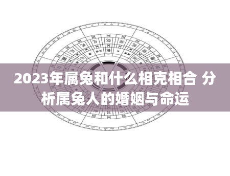 2023年属兔和什么相克相合 分析属兔人的婚姻与命运