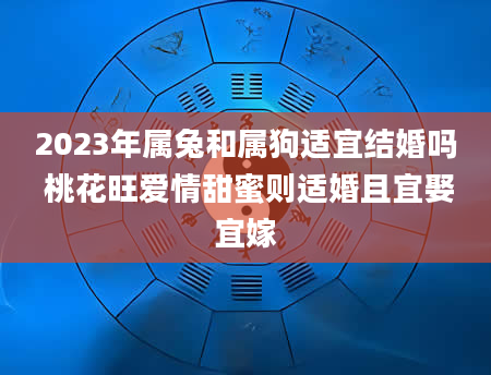 2023年属兔和属狗适宜结婚吗 桃花旺爱情甜蜜则适婚且宜娶宜嫁