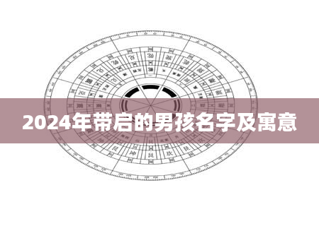 2024年带启的男孩名字及寓意