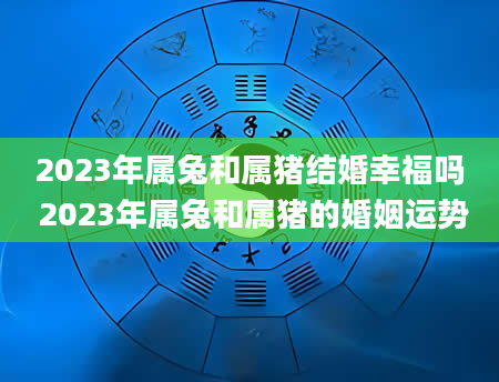 2023年属兔和属猪结婚幸福吗 2023年属兔和属猪的婚姻运势