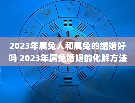 2023年属兔人和属兔的结婚好吗 2023年属兔婚姻的化解方法