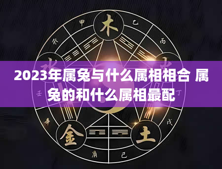 2023年属兔与什么属相相合 属兔的和什么属相最配